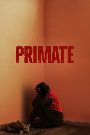 Primate - VJ Junior